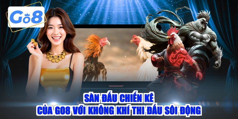 Sàn đấu chiến kê của GO8 với không khí thi đấu sôi động